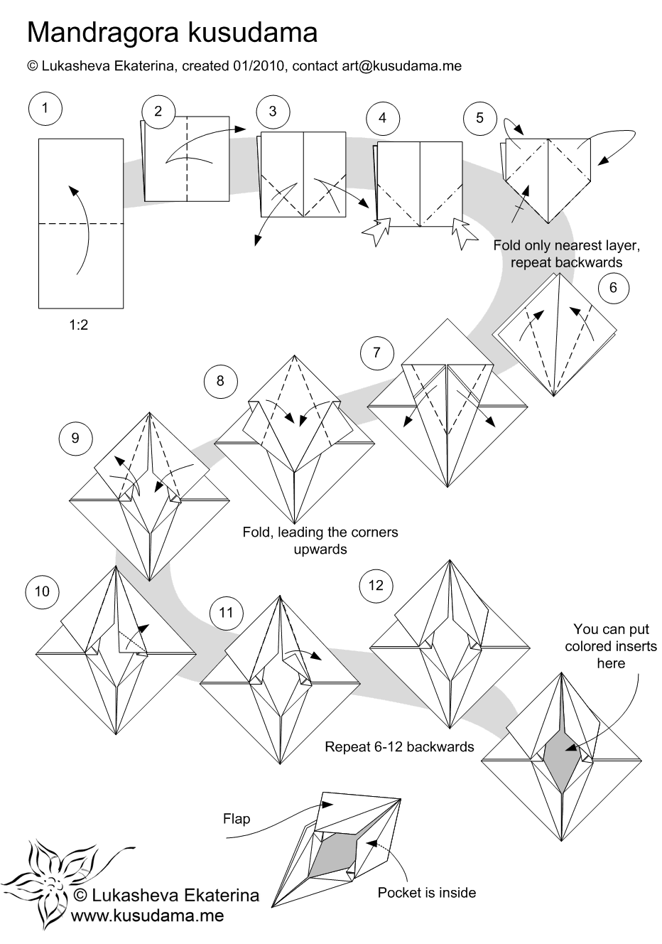 Diagram for Mandragora kusudama