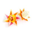 Lily_Queen-714 kusudama