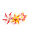 Lily_Queen-5834 kusudama