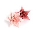 Lily_Queen-6197 kusudama