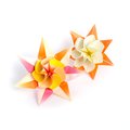 Lily_Queen-9423 kusudama