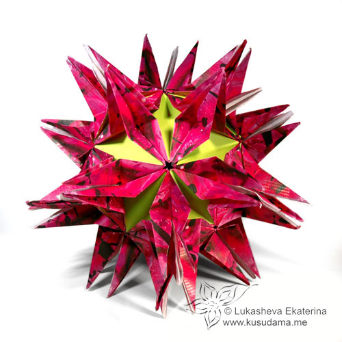 Passiflora dodecahedron