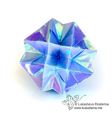 Hydrangea_v1